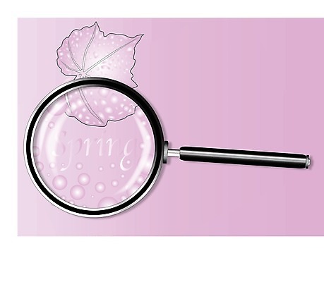 EPS 해외이미지 계절 분홍색 단풍 잎 겨울 일러스트 날씨 새로움 초록색 여름 얼음 봄 추위 가을 눈송이 변화 연도 확대경 총쏘기 카피스페이스 해외202004 해외일러스트 자연요소 식물 컬러 컨셉 모션 공백 눈 파일형식 벡터 이미지허브