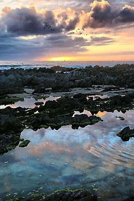 포토 JPG 해외이미지 구름 파도 바다 자연 조류 하늘 수영장 풍경 사람없음 야외 물 여름 빛 반사 평화 황혼 일몰 새벽 만 저녁 암초 수평선 해외202004 해외포토 자연요소 동물 계절 컨셉 노을 야간 생태계 파일형식 이미지허브