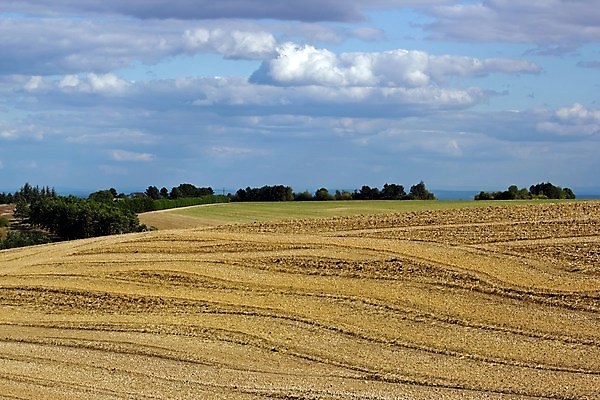 포토 JPG 해외이미지 나무 구름 문화 지구 캠페인 농업 자연 하늘 사람없음 여름 프랑스 가을 시골 숲 큼 땅바닥 수평선 해외202004 해외포토 자연요소 식물 계절 유럽 산업 바닥 크기 생태계 파일형식 이미지허브