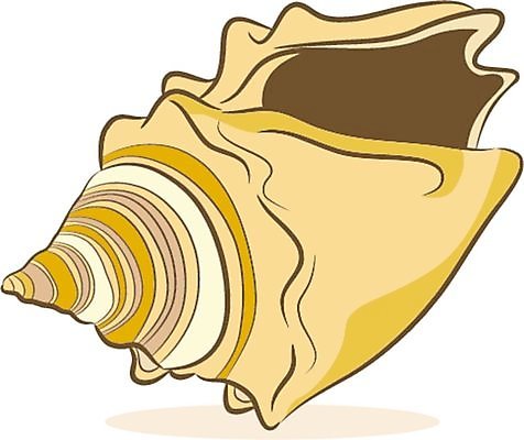 EPS 해외이미지 클립아트 디자인 선 바다 패턴 일러스트 자연 조개 미술 그래픽 장식 갈색 줄무늬 껍질 흰색 만화 그림 클립 고립 엘리먼트 해외202004 해외일러스트 컬러 무늬 문화예술 어패류 생태계 파일형식 벡터 이미지허브