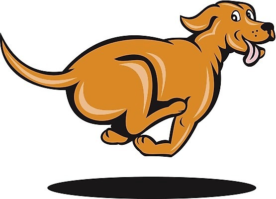 EPS 해외이미지 캐릭터 일러스트 사람없음 반려동물 달리기 갈색 귀여움 점프 개 만화 해외일러스트 일러캐릭터 동물 컬러 컨셉 포유류 모션 파일형식 벡터 이미지허브