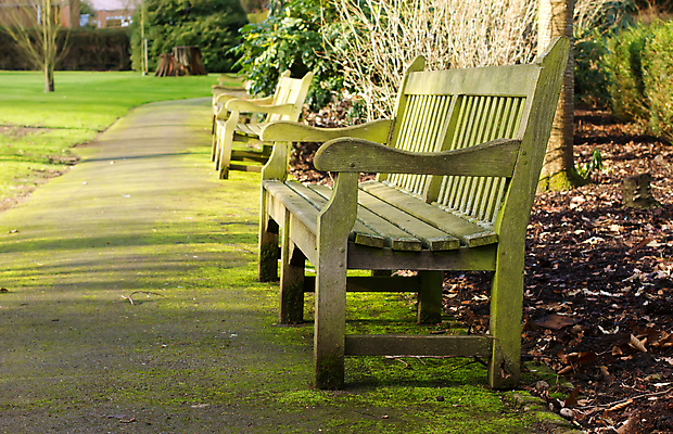 포토 JPG 해외이미지 나무 식물 계절 공원 도로 길 백그라운드 잎 벤치 의자 오렌지 자연 아침 풍경 사람없음 야외 목재 빨간색 초록색 여름 컬러풀 갈색 노란색 걷기 우주 침묵 가을 오픈 황금 고독 싱글 10월 옛날 혼자 해외202004 해외포토 주간 공공시설 감정 컬러 가구 과일 재료 교통시설 모션 소리 날짜 생태계 파일형식 이미지허브