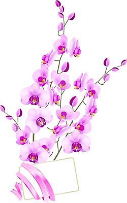 EPS 해외이미지 클립아트 식물 템플릿 디자인 배너 꽃 리본 줄기 분홍색 꽃다발 백그라운드 잎 꽃무늬 일러스트 자연 선물 여름 꼬리표 라벨 봄 공백 벚꽃 흰색 나뭇가지 인사 신선 신용카드 그리기 난초 다발 오브젝트 그림 방문 시트 고립 이국적 회복 해외202004 해외일러스트 나무 계절 컬러 컨셉 무늬 모션 프레임 금융 예절 생태계 파일형식 벡터 이미지허브