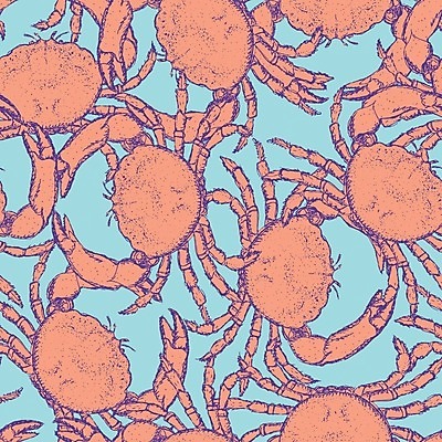 EPS 해외이미지 동물 손 디자인 야생동물 음식 바다 백그라운드 컨셉 패턴 일러스트 자연 낚시 조개 잉크 갑각류 미술 그래픽 장식 식당 페인트 수확 골동품 게 신선 그리기 시장 스케치 해산물 타일 그림 복고 판화 암 서명 그런지 엘리먼트 옛날 집게발 현실 해외202004 해외일러스트 무늬 농업 모션 레저 문화예술 어패류 신체부위 상점 질병 생태계 파일형식 벡터 이미지허브