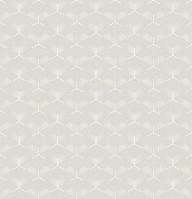 EPS 해외이미지 실루엣 선 백그라운드 패턴 일러스트 벽지 추상 동양인 장식 노란색 일본 중국 수확 흰색 직물 황금 모서리 기모노 자르기 타일 질감 심플 모자이크 육각형 아랍어 포장소품 미니멀 해외202004 해외일러스트 도형 아시아 컬러 무늬 농업 포장 모션 촬영기법 인종 일본전통의상 오브젝트 포장재료 파일형식 벡터 이미지허브