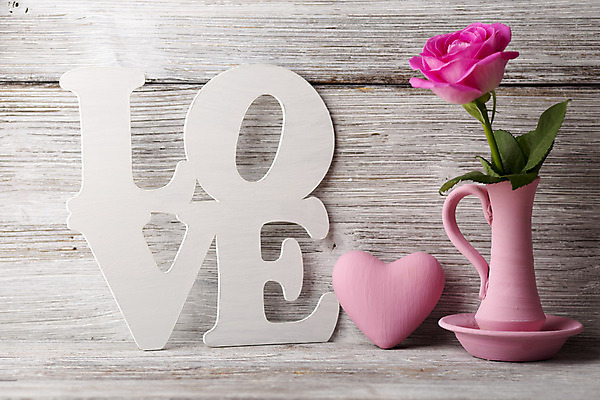 포토 JPG 해외이미지 꽃 백그라운드 사랑 사람없음 장식 장미 하트 나무배경 해외202004 해외포토 모양 식물 감정 파일형식 이미지허브