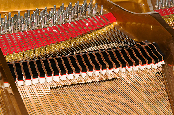 포토 JPG 해외이미지 줄 음악 열쇠 사람없음 소리 기구 황금 망치 철사 조율 펠트 해외202004 해외포토 문화예술 공구 파일형식 천_직물 이미지허브