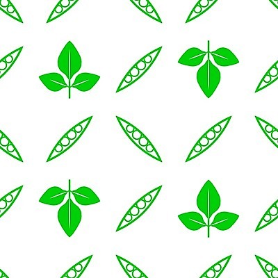 EPS 해외이미지 식물 음식 백그라운드 잎 패턴 농업 다이어트 채소 일러스트 재료 자연 추상 콩 건강 식이요법 씨앗 동양인 초록색 농작물 세트 흰색 나뭇가지 신선 먹기 가득함 심볼 사인 유기농 채식 날것 섬유 내추럴 고립 꼬투리 단백질 대두 채식주의자 해외202004 해외일러스트 나무 웰빙 산업 컬러 무늬 모션 곡류 인종 직물 생태계 영양소 파일형식 벡터 이미지허브