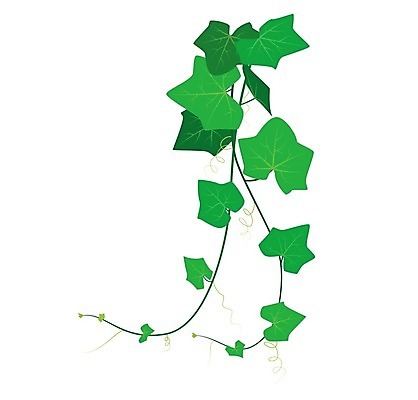 EPS 해외이미지 식물 디자인 꽃잎 꽃 아시아 음료 음식 줄기 잎 꽃무늬 채소 과일 일러스트 재료 자연 오이 건강 요리 미술 장식 초록색 정원 봄 성장 흰색 나뭇가지 덩굴 먹기 허브 포도나무 박 아이비 고립 채식주의자 해외202004 해외일러스트 나무 계절 나라 컬러 무늬 모션 문화예술 과일나무 생태계 채식 파일형식 벡터 이미지허브