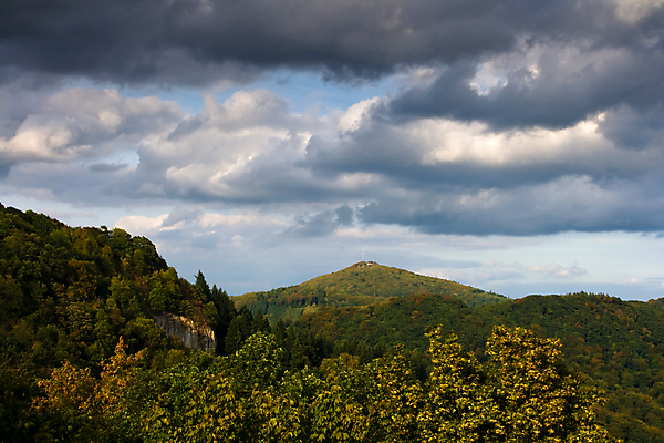 포토 JPG 해외이미지 나무 구름 잎 자연 하늘 산 파노라마 풍경 사람없음 야외 숲 언덕 그림 카피스페이스 해외202004 해외포토 자연요소 식물 촬영기법 공백 생태계 파일형식 이미지허브