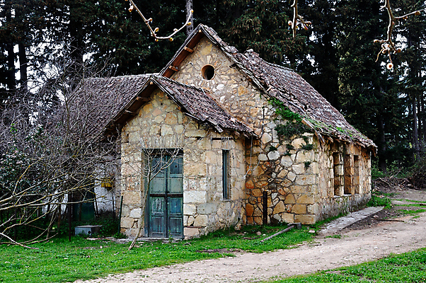 포토 JPG 해외이미지 나무 식물 외관 건축양식 자연 지붕 동화 날씨 추상 주택 이끼 사람없음 목재 초록색 문 수확 나뭇가지 시골 숲 무서움 버리기 폐허 깨짐 무인 썩음 옛날 흙길 해외202004 해외포토 건축 감정 길 컬러 컨셉 무늬 농업 재료 모션 건물 흙 생태계 파일형식 이미지허브