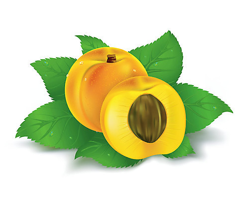 EPS 해외이미지 커플 음식 백그라운드 잎 2 오렌지 일러스트 부분 디저트 빨간색 초록색 농작물 노란색 주스 흰색 물방울 신선 달콤 자르기 먹기 내추럴 고립 살구 숙성 식욕 채식주의자 해외202004 해외일러스트 식물 음료 컬러 농업 과일 관계 모션 맛 채식 파일형식 벡터 이미지허브