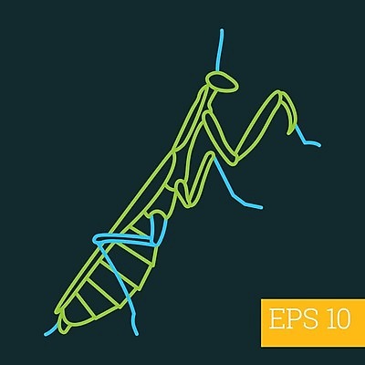 EPS 해외이미지 디자인 선 곤충 일러스트 그래픽 픽토그램 주름 벌레 딱정벌레 심볼 오브젝트 사인 그림 심플 윤곽 육식동물 고립 얇은 엘리먼트 해외202004 해외일러스트 동물 파일형식 벡터 이미지허브