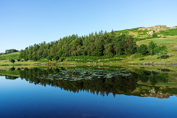 포토 JPG 해외이미지 나무 영어 계절 공원 호수 이동 자연 영국 잉글랜드 풍경 사람없음 야외 초록색 물 여름 노란색 바위 흰색 시골 개울 큼 지역 건너기 왕국 컴브리아주 해외202004 해외포토 자연요소 식물 문자 공공시설 유럽 컬러 컨셉 모션 강 돌_바위 크기 생태계 파일형식 이미지허브