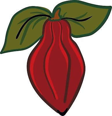 EPS 해외이미지 식물 접시 백그라운드 잎 일러스트 재료 디저트 콩 건조 갈색 주방 초콜릿 식사 에너지 신선 뜨거움 달콤 맛 낟알 가루 그림 유기농 완두콩 날것 아로마 향 칼로리 코코아 흙더미 내추럴 채식주의자 카카오 해외202004 해외일러스트 식기 웰빙 음료 음식 컬러 컨셉 곡류 흙 채식 파일형식 벡터 더미 이미지허브