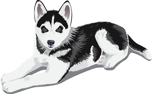 EPS 해외이미지 클립아트 동물 캐릭터 손 디자인 행복 일러스트 포유류 털 대화 미술 서기 미소 앉기 그래픽 반려동물 갈색 개 달콤 강아지 시원함 만화 즐거움 그림 꼬리 클립 보여주기 해외202004 해외일러스트 일러캐릭터 감정 컬러 모션 문화예술 표정 말하기 신체부위 맛 파일형식 벡터 이미지허브