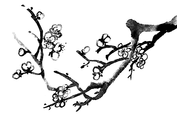 JPG 해외이미지 일러스트 붓터치 미술 사람없음 빨간색 벚꽃 먹 동양화 그림 번짐 꽃가지 해외202004 해외일러스트 꽃 컬러 서예 문화예술 나뭇가지 파일형식 효과 이미지허브