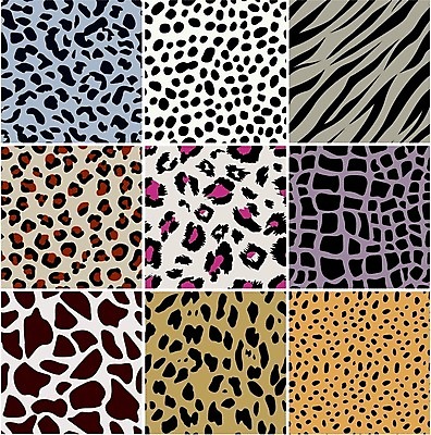 EPS 해외이미지 클립아트 동물 디자인 종이 야생동물 백그라운드 패턴 일러스트 아프리카 자연 벽지 추상 털 동물원 동양인 장식 컬러풀 유행 견본 직물 뱀 호랑이 인쇄 가죽 기린 사파리 피부 묘사 질감 육식동물 얼룩말 층 치타 표범 동물상 포장소품 스타일 효과 해외202004 해외일러스트 나라 컬러 무늬 포장 포유류 파충류 인종 신체부위 조형물 말_동물 오브젝트 생태계 포장재료 파일형식 벡터 이미지허브