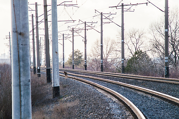 포토 JPG 해외이미지 산업 도로 길 선 여행 컨셉 비즈니스 교통시설 자동차 넥타이 풍경 사람없음 빛 금속 검은색 힘 황혼 기차 화물 바위 역 방향 철 교차로 속도 신호 공학 단상 방법 선로 철강 해외202004 해외포토 잡화 교육 육상교통 컬러 교통 재질 대중교통 일몰 운송업 돌_바위 시설 파일형식 이미지허브