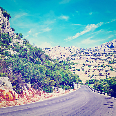 포토 JPG 해외이미지 도로 사람없음 야외 스페인 숲 복고 해외202004 해외포토 유럽 길 교통시설 파일형식 이미지허브