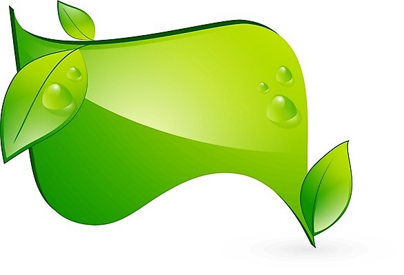 EPS 해외이미지 템플릿 디자인 배너 컨셉 잎 일러스트 자연 추상 프레임 건강 초록색 꼬리표 라벨 환경 봄 활발 신선 떨어짐 사인 에코 유기농 내추럴 바이오 생태학 엘리먼트 해외202004 해외일러스트 식물 웰빙 계절 교육 컬러 무늬 생태계 파일형식 벡터 이미지허브