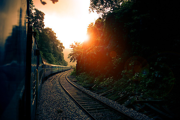 포토 JPG 해외이미지 나무 선 여행 자연 아침 사람없음 빛 태양 기차 표현 언덕 루트 해외202004 해외포토 주간 자연요소 식물 육상교통 대중교통 생태계 파일형식 이미지허브