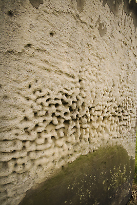 포토 JPG 해외이미지 백그라운드 패턴 날씨 사람없음 무덤 시간 묘사 부식 질감 옛날 해외202004 해외포토 무늬 파일형식 이미지허브