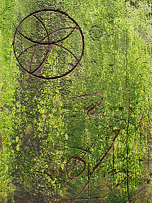 포토 JPG 해외이미지 백그라운드 표면 날씨 이끼 사람없음 세로 초록색 질감 옛날 해외202004 해외포토 컬러 파일형식 이미지허브