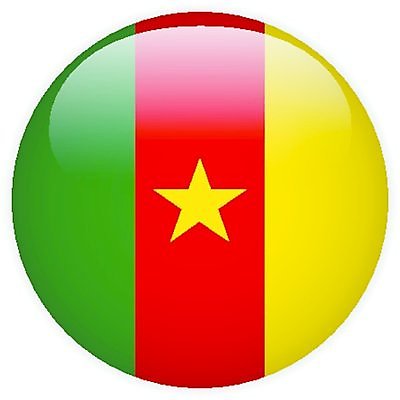 EPS 해외이미지 템플릿 디자인 여행 백그라운드 컨셉 스티커 일러스트 아프리카 유리 사랑 물 빛 세트 세계 글로벌 깃발 선거 심볼 사인 대륙 기념품 배지 언론 광택 애국심 휘장 고립 엘리먼트 전국 정부 카메룬 해외202004 해외일러스트 자연요소 감정 나라 재질 민주주의 오브젝트 파일형식 벡터 이미지허브