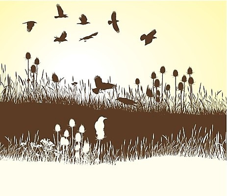 EPS 해외이미지 백그라운드 일러스트 자연 조류 미술 갈색 엉겅퀴 고립 해외202004 해외일러스트 동물 꽃 컬러 문화예술 생태계 파일형식 벡터 이미지허브