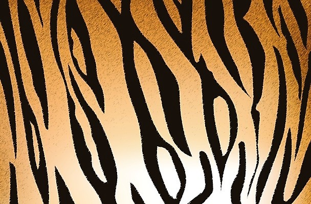 EPS 해외이미지 동물 디자인 야생동물 백그라운드 패턴 오렌지 일러스트 포유류 자연 벽지 추상 털 미술 장식 검은색 고양이 줄무늬 호랑이 인쇄 가죽 피부 질감 얼룩말 스타일 해외202004 해외일러스트 컬러 무늬 과일 문화예술 신체부위 반려동물 말_동물 생태계 파일형식 벡터 이미지허브