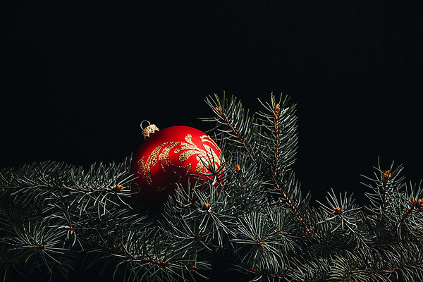 포토 JPG 해외이미지 나무 템플릿 전통 디자인 배너 백그라운드 크리스마스 겨울 일러스트 공 추상 휴가 조명 새로움 선물 사람없음 목재 장식 빨간색 파란색 빛 상자 장난감 파티 우주 어둠 기쁨 추위 흰색 나뭇가지 시골 축하 인사 신용카드 황금 우아함 야간 연도 보케 해외202004 해외포토 자연요소 식물 계절 기념일 감정 컬러 컨셉 무늬 재료 이벤트 금융 예절 파일형식 이미지허브