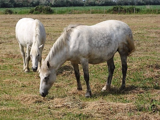포토 JPG 해외이미지 사람없음 자유 프랑스 지중해 무료 프로방스 해외202004 해외포토 유럽 바다 컨셉 파일형식 이미지허브