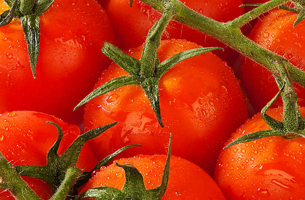 포토 JPG 해외이미지 백그라운드 토마토 채소 재료 방울토마토 건강 사람없음 가로 빨간색 젖음 촉촉함 신선 이슬 유기농 포도나무 숙성 많음 해외202004 해외포토 웰빙 컬러 컨셉 과일나무 파일형식 이미지허브