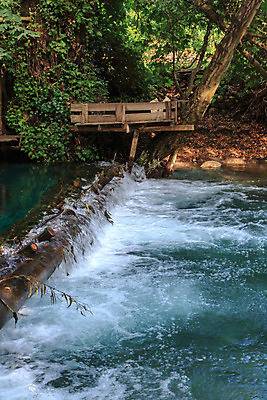 포토 JPG 해외이미지 나무 아시아 호수 잎 벤치 의자 자연 앉기 풍경 사람없음 목재 물 여름 강 환경 항구 봄 흐름 나뭇가지 숲 생태계 생물학 칠면조 내추럴 생태학 해외202004 해외포토 자연요소 식물 계절 교육 나라 가구 컨셉 재료 교통시설 모션 조류 파일형식 이미지허브