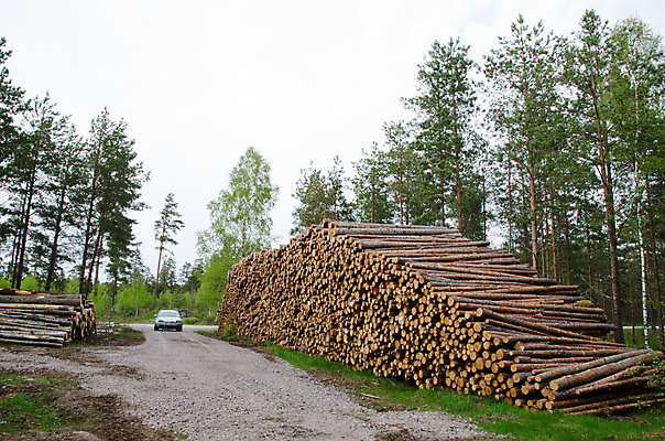 포토 JPG 해외이미지 나무 산업 도로 하늘색 백그라운드 패턴 비즈니스 자동차 자연 하늘 추상 스웨덴 사람없음 야외 목재 가로 파란색 갈색 쌓기 환경 봄 재활용 반지 소나무 원형 숲 장작 유기농 질감 나무껍질 잡동사니 흙더미 생태학 수목 흙길 해외202004 해외포토 도형 식물 웰빙 계절 교육 길 육상교통 컬러 무늬 재료 장신구 교통시설 모션 북유럽 흙 껍질 친환경 생태계 파일형식 더미 이미지허브