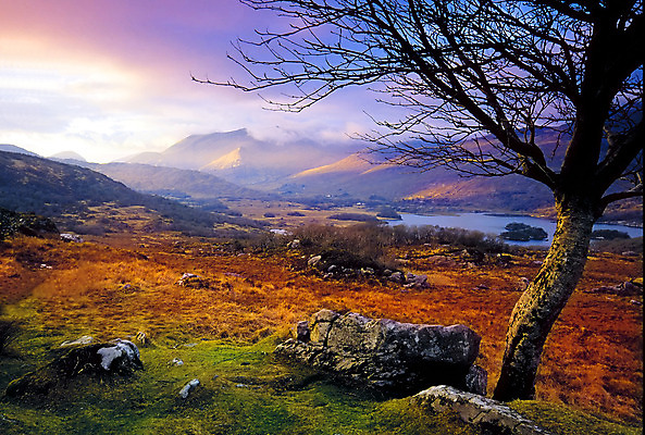 포토 JPG 해외이미지 나무 호수 여행 산 풍경 사람없음 암초 아일랜드 해외202004 해외포토 식물 유럽 파일형식 이미지허브