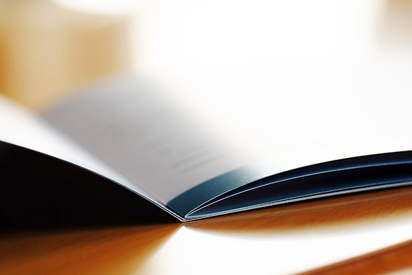 포토 JPG 해외이미지 1 종이 리플렛 컨셉 비즈니스 텍스트 통신 팜플렛 사람없음 책 금융 파란색 사무실 갈색 자료 정보 덮개 가장자리 잡지 인쇄 읽기 책상 묘사 교과서 상업 페이지 우표 마케팅 출판 해외202004 해외포토 컬러 가구 모션 교재 간행물 경제 뚜껑 둘레 파일형식 이미지허브