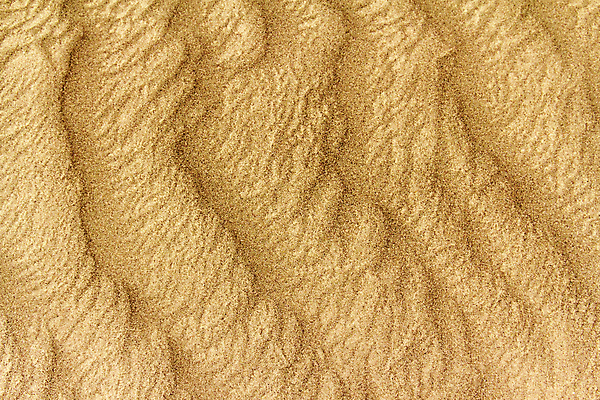 포토 JPG 해외이미지 모래 파도 여행 백그라운드 패턴 휴가 건조 그림자 미술 풍경 사람없음 야외 여름 글로벌 갈색 뜨거움 황무지 고독 땅 모래언덕 버리기 사파리 언덕 질감 산등성이 지역 사하라 낭비 웅장함 해외202004 해외포토 계절 감정 바다 컬러 컨셉 무늬 모션 아프리카 문화예술 산 사막 파일형식 이미지허브