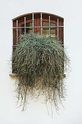 포토 JPG 해외이미지 식물 외관 꽃 유럽 벽 분홍색 잎 꽃무늬 건축양식 창문 유리 주택 프레임 사람없음 장식 빨간색 상자 컬러풀 갈색 노란색 바구니 회색 프랑스 수확 골동품 시골 황금 복고 옛날 판유리 해외202004 해외포토 건축 나라 컬러 무늬 농업 재질 건물 파일형식 이미지허브