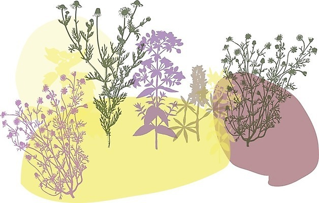 EPS 해외이미지 식물 디자인 꽃 실루엣 줄기 나비 결혼 백그라운드 잎 꽃무늬 패턴 일러스트 자연 프레임 사랑 미술 장식 초록색 여름 장미 머리 우주 정원 봄 성장 벚꽃 나뭇가지 생일 그리기 개화 우아함 만화 싱글 복고 데이지 초대 화단 구식 멀티 방식 해외202004 해외일러스트 나무 계절 기념일 감정 컬러 곤충 컨셉 무늬 모션 문화예술 촬영기법 이벤트 신체부위 생태계 파일형식 벡터 이미지허브