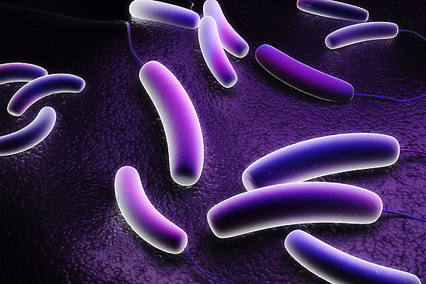 포토 JPG 해외이미지 과학 신체 일러스트 생물 세포 건강 현미경 사람 사람없음 3D 바이러스 질병 중개인 생물학 전자 감염 미생물 박테리아 기생충 셀룰러 해외202004 해외포토 직업 교육 의학 실험기구 디지털합성 파일형식 이미지허브