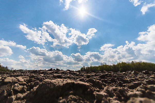 포토 JPG 해외이미지 식물 계절 산업 지구 음식 백그라운드 잎 밭 농업 채소 자연 하늘 건강 풍경 사람없음 야외 초록색 여름 파란색 컬러풀 태양 농장 농경지 갈색 환경 정원 흙 봄 수확 성장 시골 신선 땅 시리얼 유기농 내추럴 땅바닥 밭일 쟁기 줄서기 수평선 세련 해외202004 해외포토 자연요소 웰빙 컬러 모션 바닥 생태계 파일형식 이미지허브
