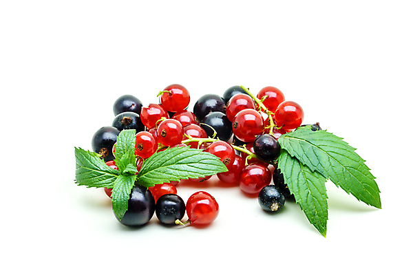 포토 JPG 해외이미지 식기 잡화 열매 음식 다이어트 과일 재료 탁자 디저트 건강 사람없음 빨간색 초록색 주방 검은색 식사 어둠 흰색 나뭇가지 신선 달콤 맛 다발 먹기 오브젝트 싱글 상쾌 유기농 내추럴 건포도 고립 숙성 해외202004 해외포토 나무 식물 웰빙 감정 컬러 가구 컨셉 모션 포도 건과일 파일형식 이미지허브