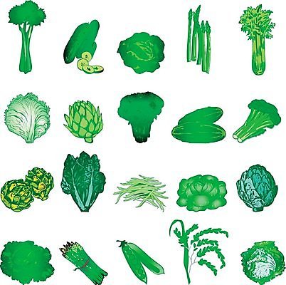 EPS 해외이미지 클립아트 줄 음식 다이어트 채소 일러스트 자연 오이 콩 파슬리 건강 종류 미술 초록색 손상 샐러드 선택 상추 브로콜리 만화 먹기 머스터드 민트 완두콩 양배추 아스파라거스 슬라이스 시금치 고립 아티초크 주키니 채식주의자 해외202004 해외일러스트 컬러 컨셉 모션 문화예술 곡류 소스_음식 허브 생태계 채식 파일형식 벡터 이미지허브