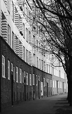 포토 JPG 해외이미지 나무 유럽 곡선 건축양식 창문 아파트 주택 독일 흑백 경사 사람없음 건물 세로 도시풍경 블록 흰색 도시 보행로 재산 플랫 타운 리빙 이웃 공동주택 굴곡 벌거벗은 소셜 함부르크 해외202004 해외포토 식물 건축물 건축 나라 길 선 컬러 촬영기법 풍경 금융 파일형식 이미지허브