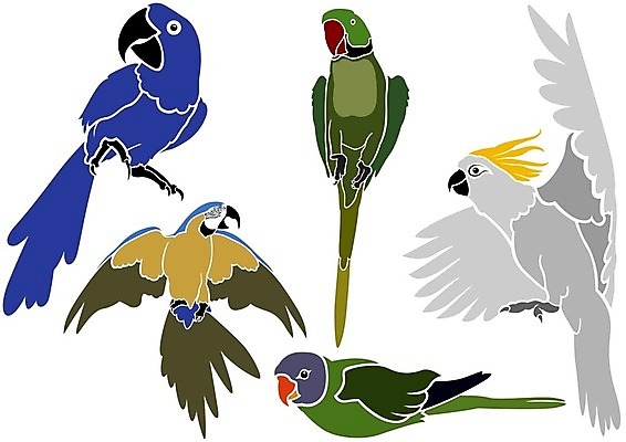 EPS 해외이미지 동물 일러스트 자연 조류 동물원 앉기 심볼 사인 그림 앵무새 심플 동물상 엘리먼트 잉꼬 해외202004 해외일러스트 모션 조형물 생태계 파일형식 벡터 이미지허브