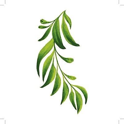 EPS 해외이미지 나무 식물 손 디자인 음식 백그라운드 잎 패턴 일러스트 자연 수채화 건강 미술 여러명 장식 초록색 여름 일본 중국 페인트 봄 수확 흰색 나뭇가지 차 만화 질감 복고 부족 내추럴 고립 구성 우크라이나 히말라야 해외202004 해외일러스트 계절 유럽 아시아 음료 컬러 다수 컨셉 무늬 농업 문화예술 사람 신체부위 생태계 파일형식 벡터 산맥 이미지허브