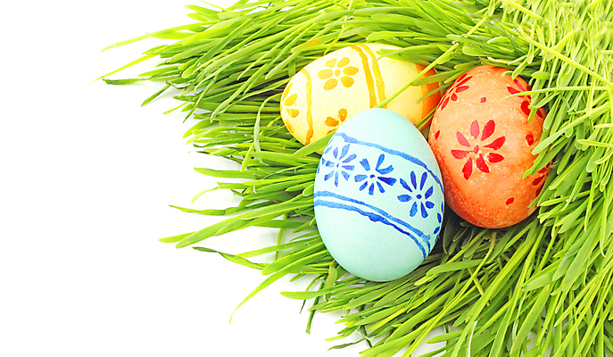 포토 JPG 해외이미지 스튜디오촬영 식물 전통 디자인 계절 꽃 백그라운드 꽃무늬 패턴 오렌지 자연 휴가 선물 사람없음 장식 빨간색 초록색 파란색 컬러풀 노란색 계란 축제 봄 흰색 축하 신선 그리기 그룹 심볼 숨김 내추럴 고립 숨기 카피스페이스 해외202004 해외포토 컬러 컨셉 무늬 과일 모션 실내 알 공백 생태계 파일형식 이미지허브