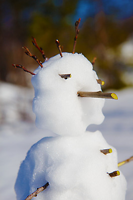 포토 JPG 해외이미지 크리스마스 겨울 자연 눈사람 휴가 사람없음 얼음 축제 추위 흰색 12월 질감 코 서리 장면 북쪽 1월 2월 해외202004 해외포토 자연요소 계절 기념일 컬러 신체부위 날짜 방향 생태계 파일형식 이미지허브